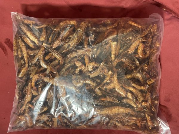 Dry Prawns