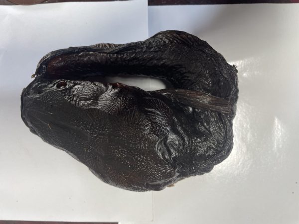 Round Degutted Dry Fish